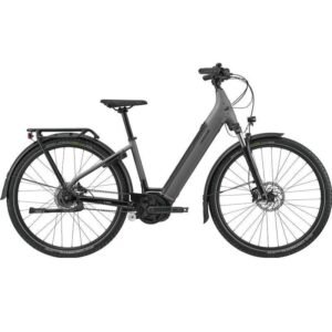 Cannondale Mavaro Neo 4 Shimano Nexus 5V Courroie 500 Wh 29" Gris