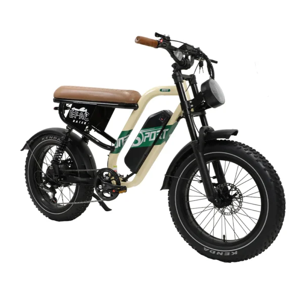 VTT Électrique à Suspension Complète fafrees OneSport W66 500W 20" Fat Bike 648Wh