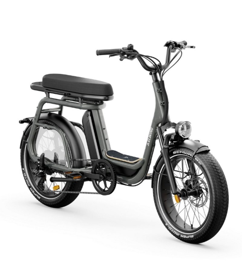 Vélo électrique Elwing Ritmic Duo – Image 3