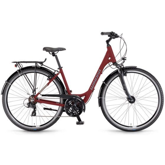 Vélo Winora Domingo 21 tout chemin